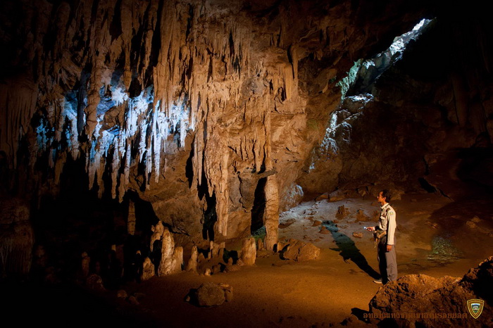 Sai Cave ถ้ำไทร: The Best Amazing Iconic Masterpiece 10/10 sai cave