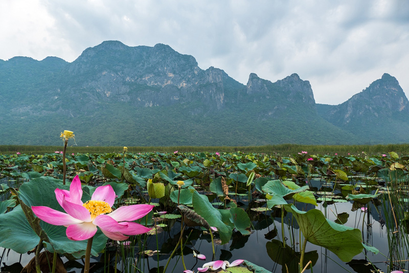 อุทยานเขาสามร้อยยอด: The Best Amazing Iconic 10/10 sam roi yot national park