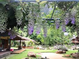 บ้านบึงบัว Baan Bueng Bua สามร้อยยอด: The Best Amazing Iconic 10/10 baan bueng bua4