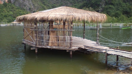 bamboo alec