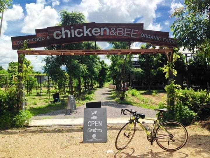 chicken and bee5