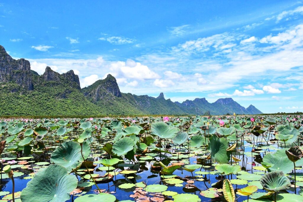 ล่องคลองชมธรรมชาติ Eco Canal Tour สามร้อยยอด: The Best Amazing Iconic 10/10 eco canal tour2