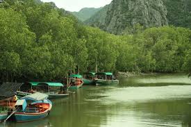 ล่องคลองชมธรรมชาติ Eco Canal Tour สามร้อยยอด: The Best Amazing Iconic 10/10 eco canal tour4