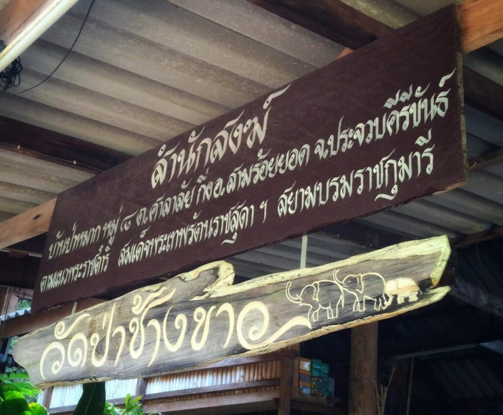 สำนักสงฆ์ป่าช้างขาว ป่าหมาก Pa Chang Khao Monastery สามร้อยยอด: The Best Amazing Iconic 10/10 pa chang khao monastery2