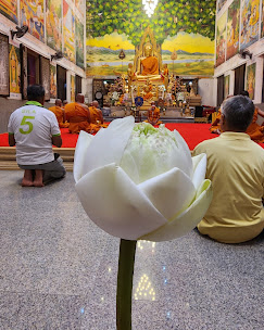 วัดไร่ใหม่สามัคคี Wat Rai Mai Samakkee สามร้อยยอด: The Best Amazing Iconic 10/10 wat rai mai samakkee2
